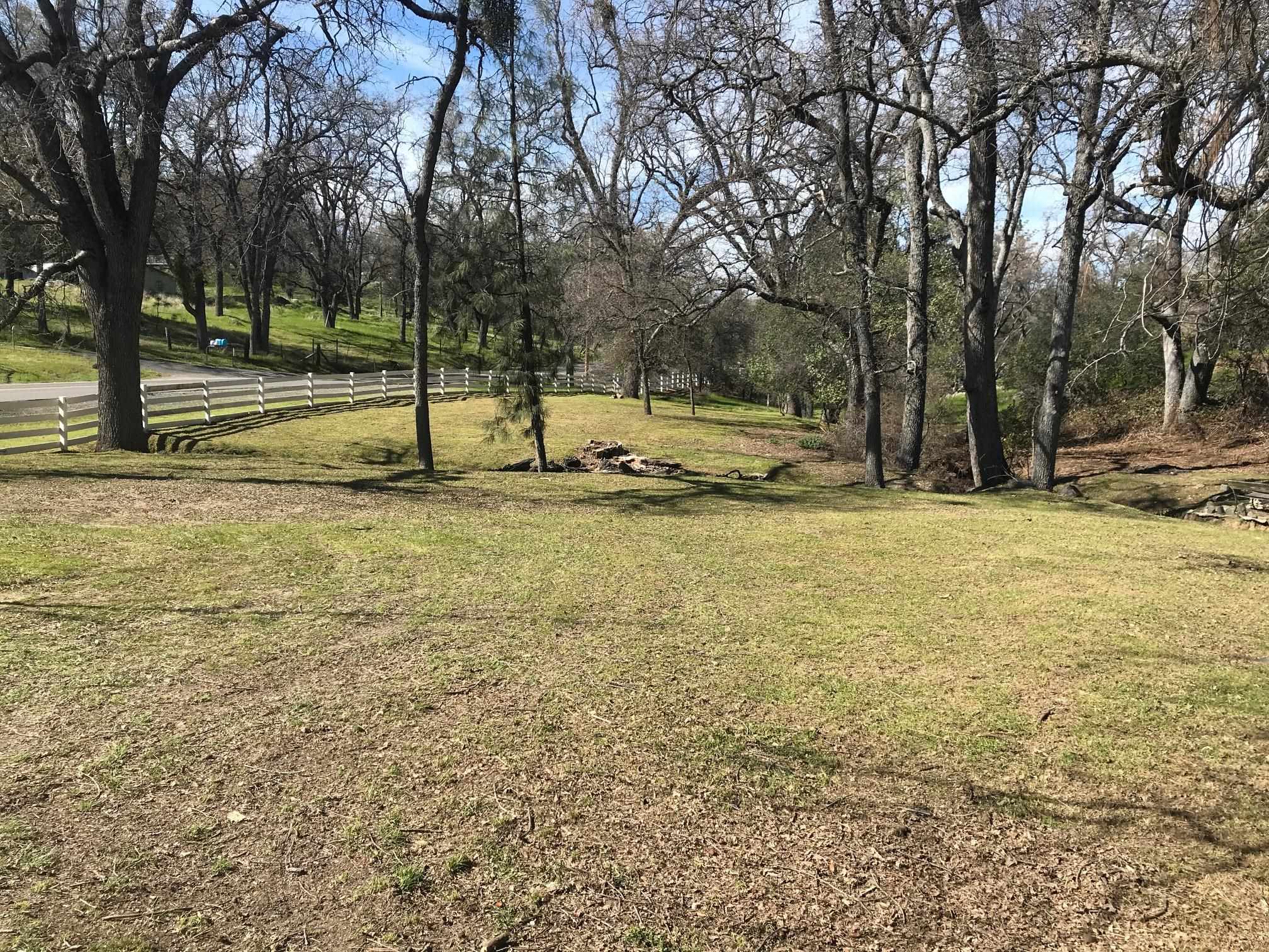 18191 Woodham Carne Road Sonora, CA 95370 - Photo 25 of 47 a view of a yard with a tree