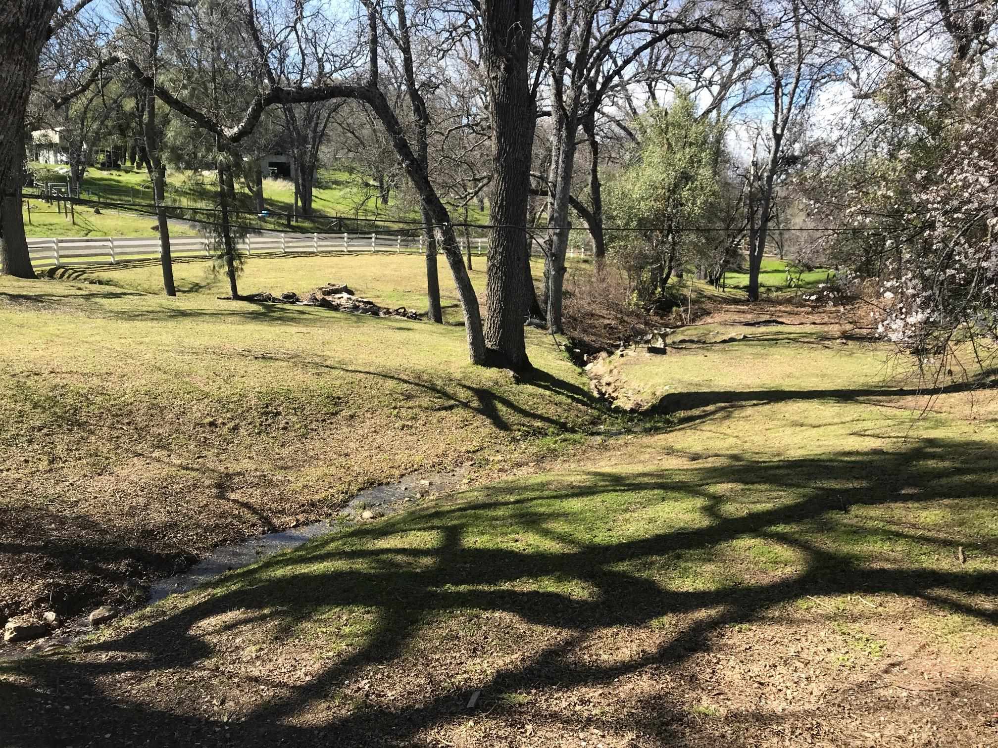 18191 Woodham Carne Road Sonora, CA 95370 - Photo 30 of 47 a view of swimming pool with a yard and trees