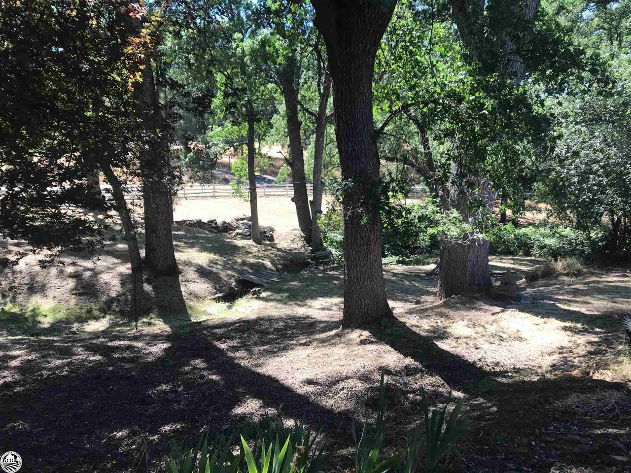 18191 Woodham Carne Road Sonora, CA 95370 - Photo 34 of 47 a view of a tree in the middle of a yard
