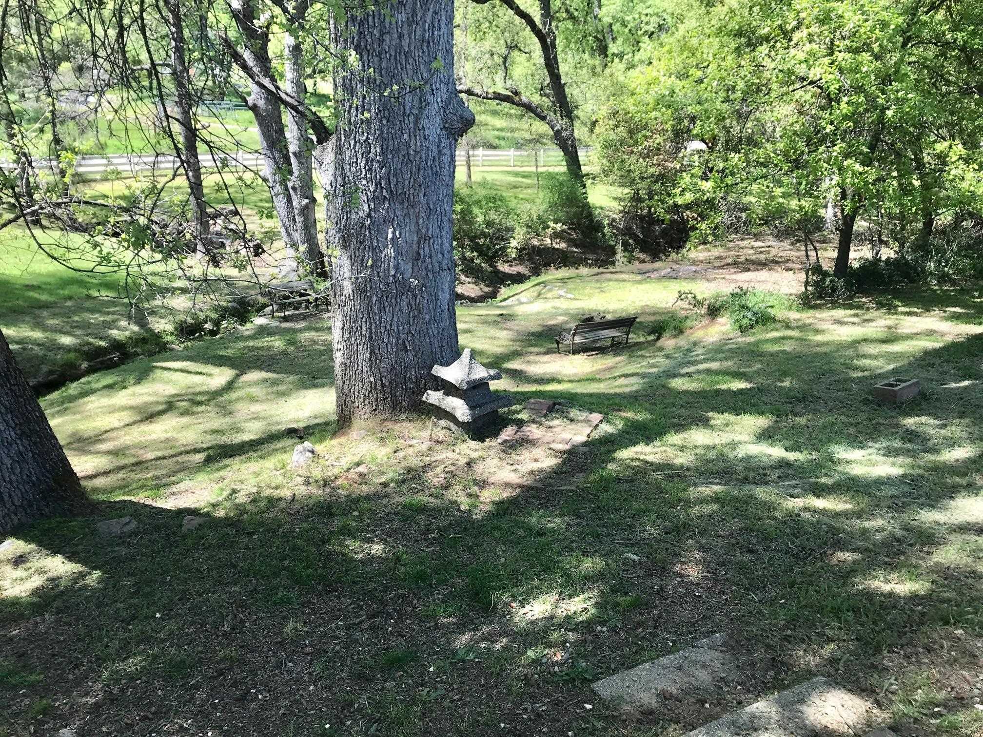 18191 Woodham Carne Road Sonora, CA 95370 - Photo 40 of 47 a view of a tree in a yard with large trees