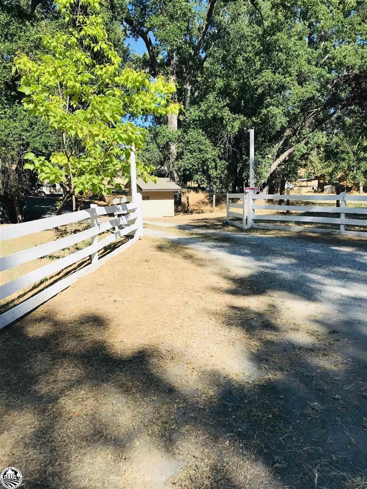 18191 Woodham Carne Road Sonora, CA 95370 - Photo 8 of 47 a view of road with large trees