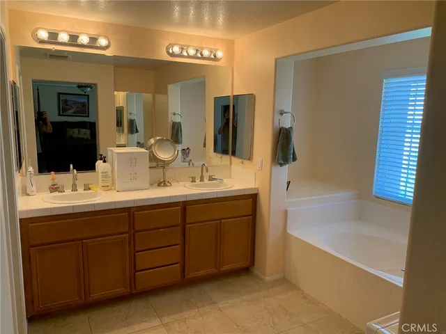 a bathroom with a tub a double vanity sink and mirror