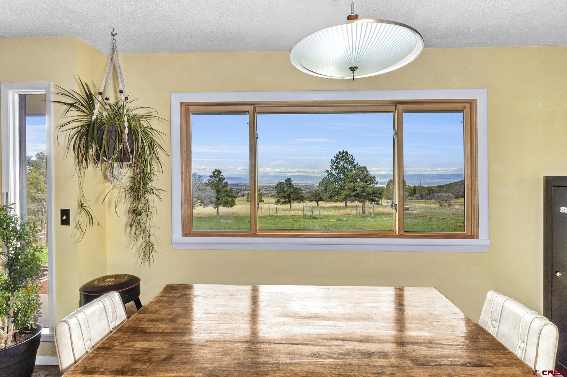 22755 Uintah Road Cedaredge, CO 81413 - Photo 14 of 35 a view of a living room and a potted plant