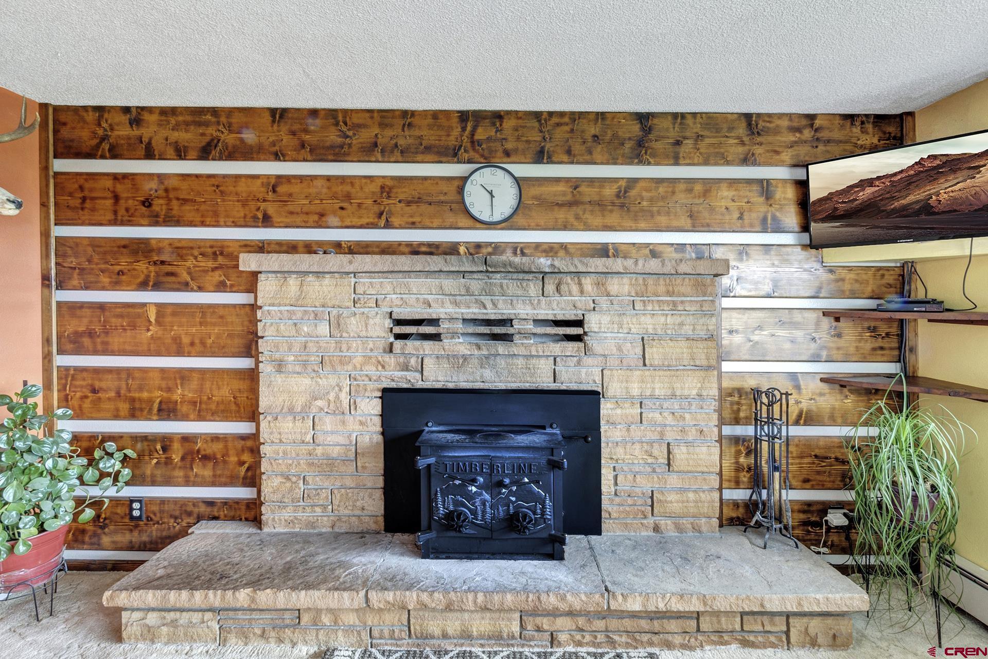 22755 Uintah Road Cedaredge, CO 81413 - Photo 8 of 35 a fireplace with a rug in front of it