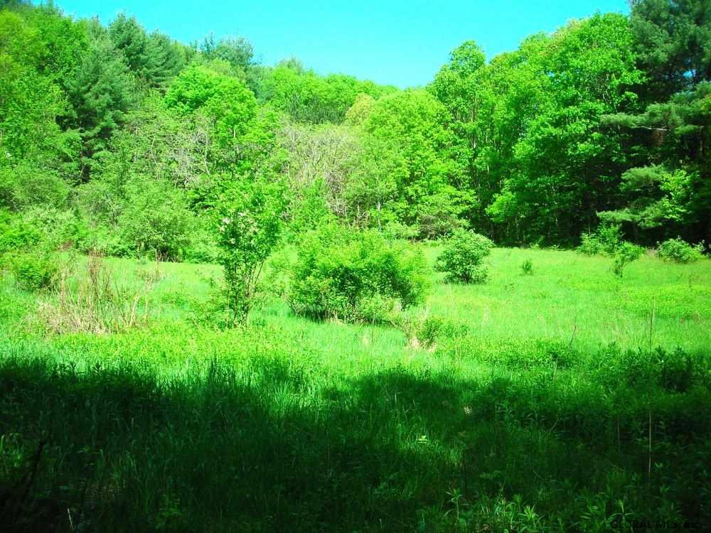 37 Smith Road Petersburgh, NY 12138 - Photo 10 of 31 Photo 10