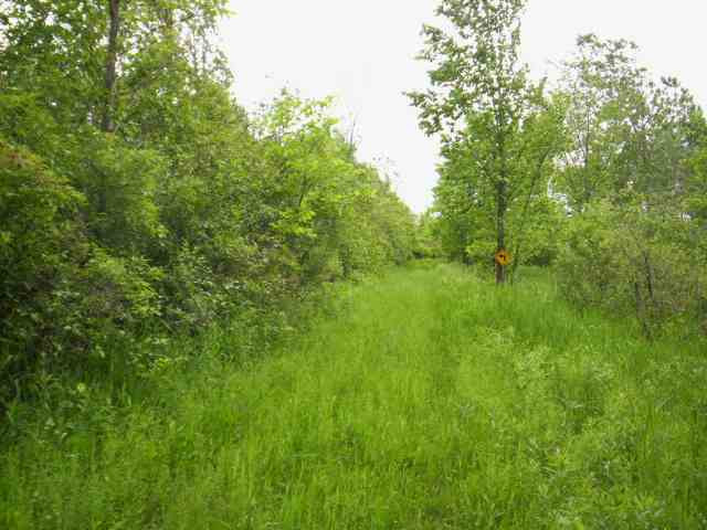 732 Maple Town Road Fort Plain, NY 13339 - Photo 1 of 5 Photo 1