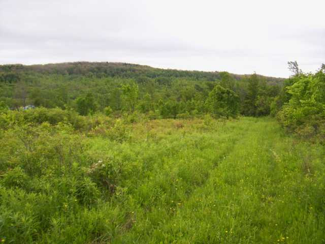 732 Maple Town Road Fort Plain, NY 13339 - Photo 4 of 5 Photo 4