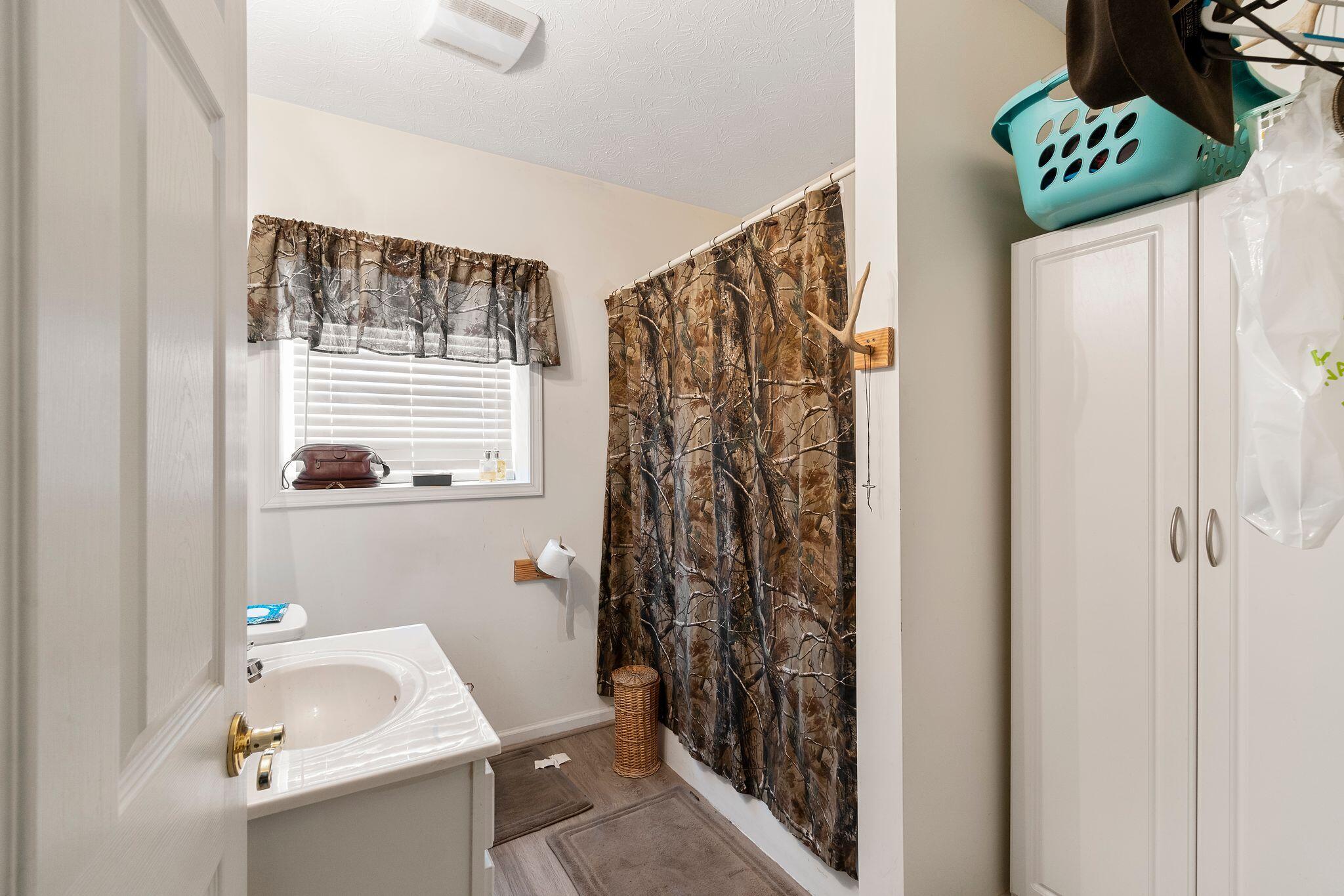 2170 East Fork Road Greeneville, TN 37743 - Photo 19 of 28 Full Bathroom #3