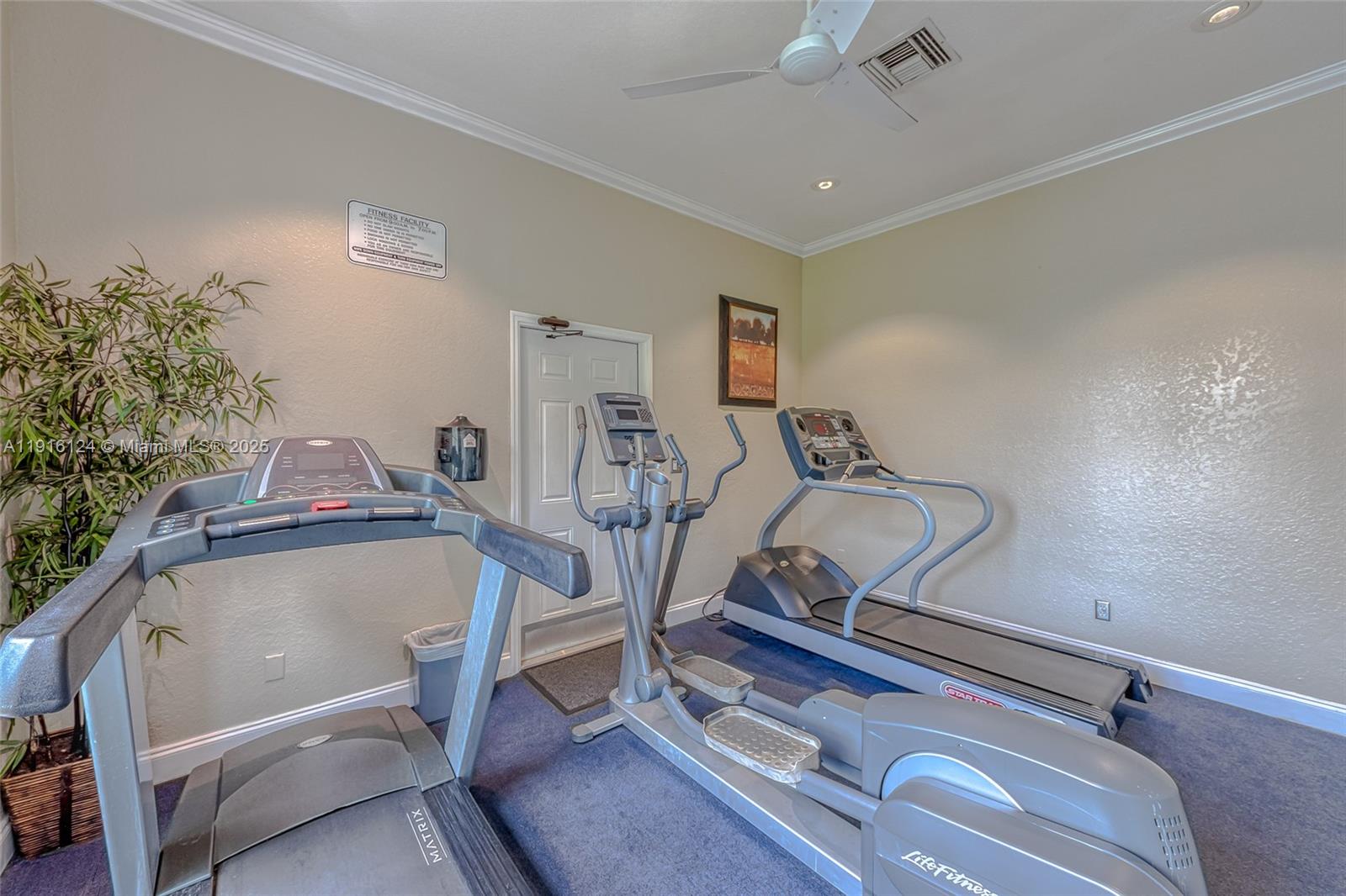 304 Southwest 120th Avenue, Unit 304 Pembroke Pines, FL 33025 - Photo 44 of 46 a room with gym equipment and potted plants