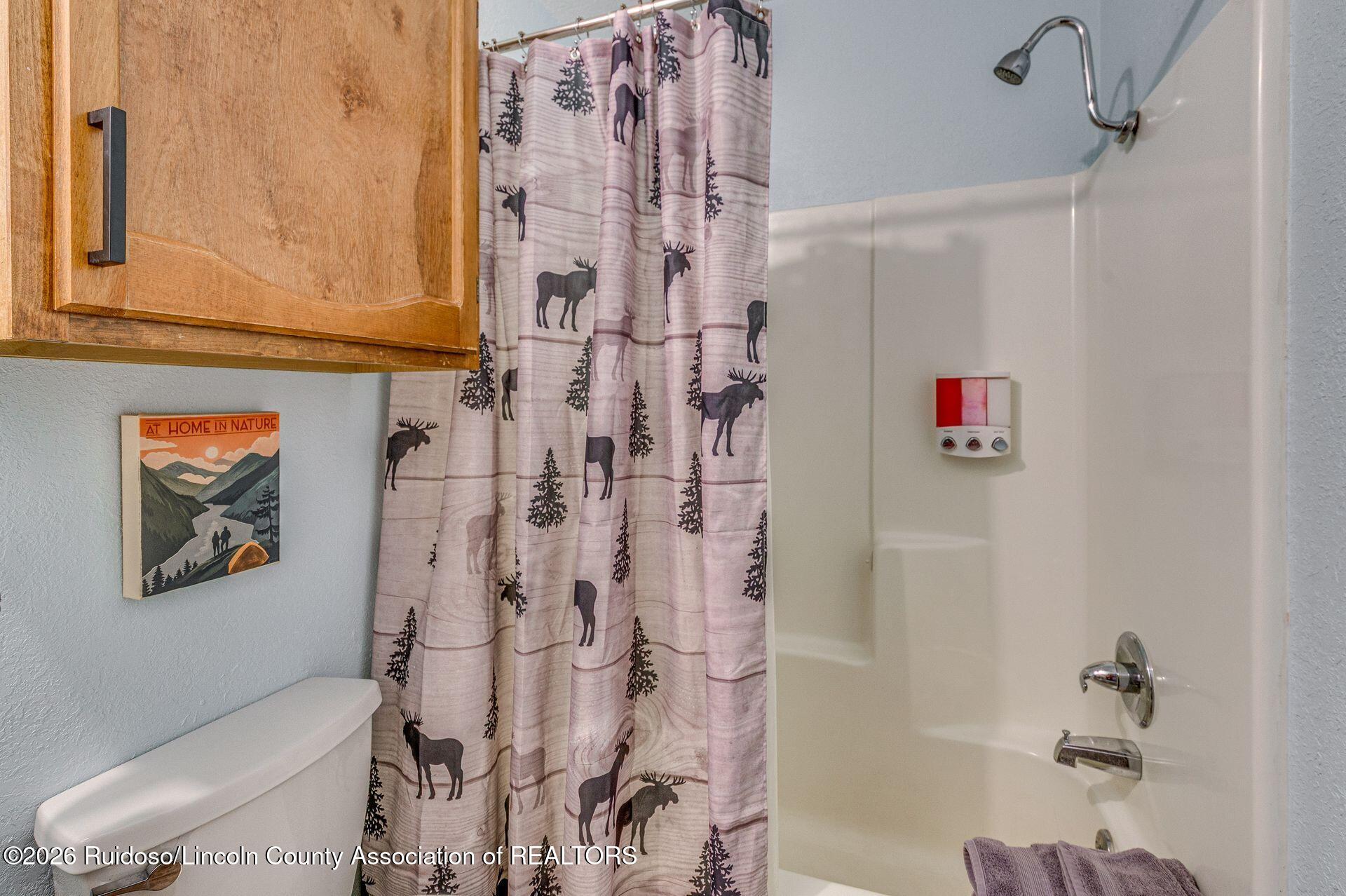 604 White Mountain Drive, Unit 506 Ruidoso, NM 88345 - Photo 49 of 53 Gallery Image 49