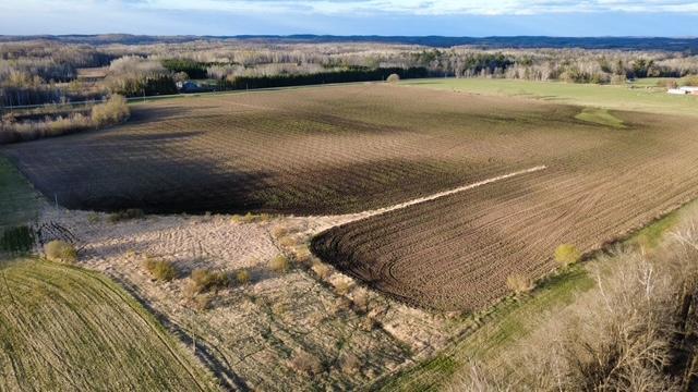 Tbd 270th Street Cushing, MN 56443 - Photo 1 of 10