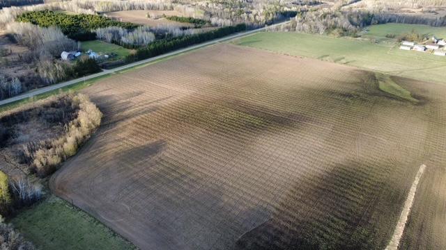 Tbd 270th Street Cushing, MN 56443 - Photo 2 of 10