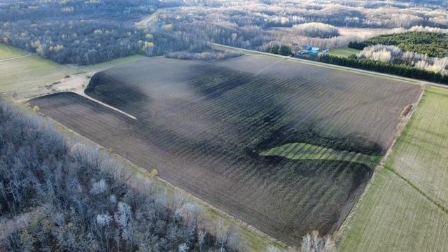 Tbd 270th Street Cushing, MN 56443 - Photo 3 of 10