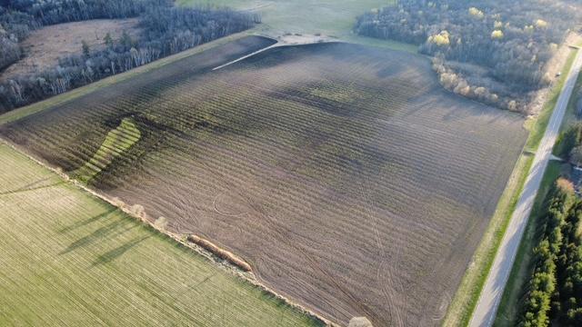 Tbd 270th Street Cushing, MN 56443 - Photo 6 of 10
