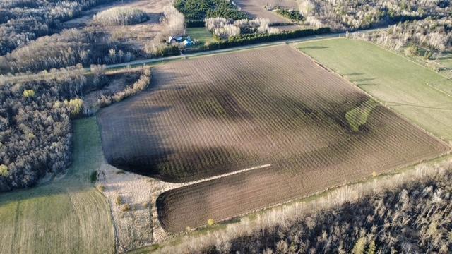Tbd 270th Street Cushing, MN 56443 - Photo 9 of 10