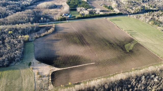 Tbd 270th Street Cushing, MN 56443 - Photo 10 of 10