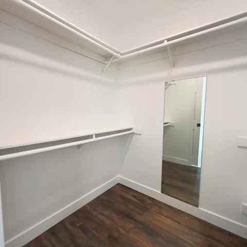 a view of an empty walk in closet