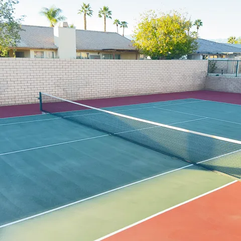 a view of a potted plants