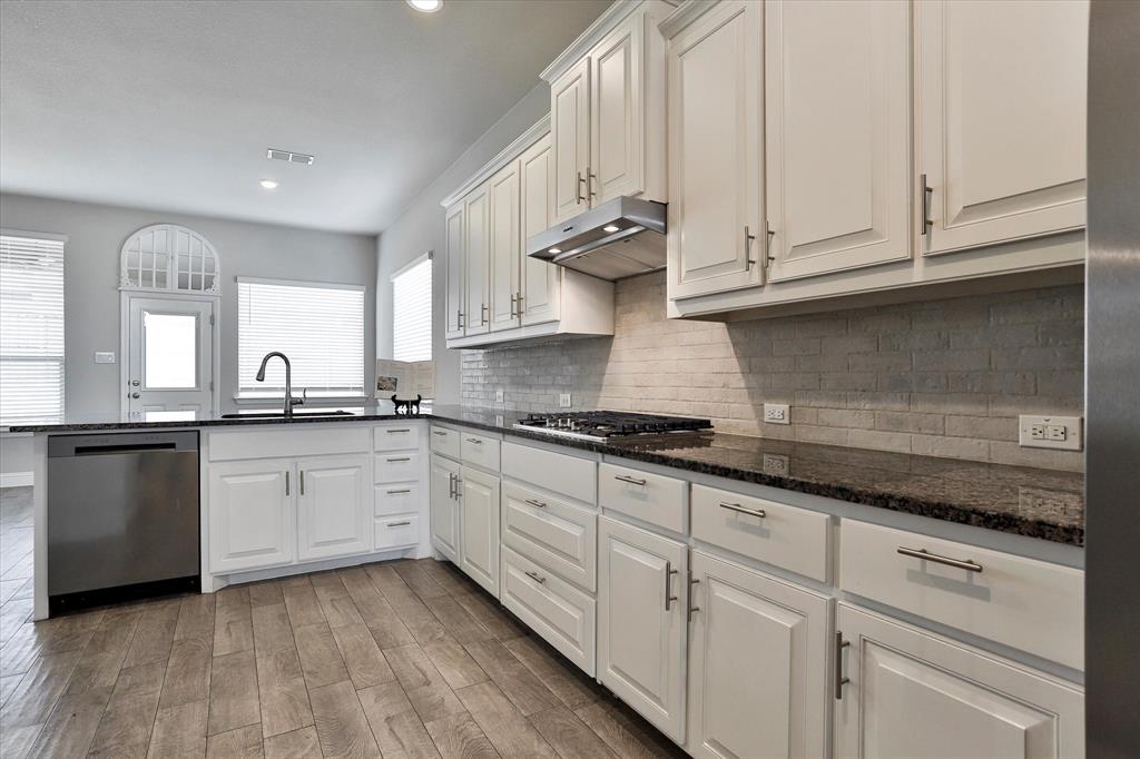 253 Gill Point Lane Aledo, TX 76008 - Photo 16 of 40