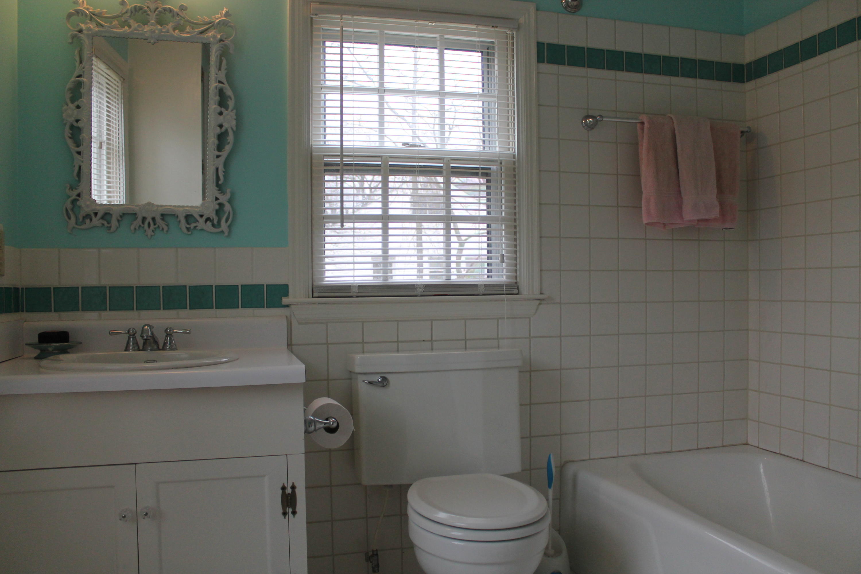 5431 Cove Road Roanoke, VA 24019 - Photo 20 of 45 Master bath