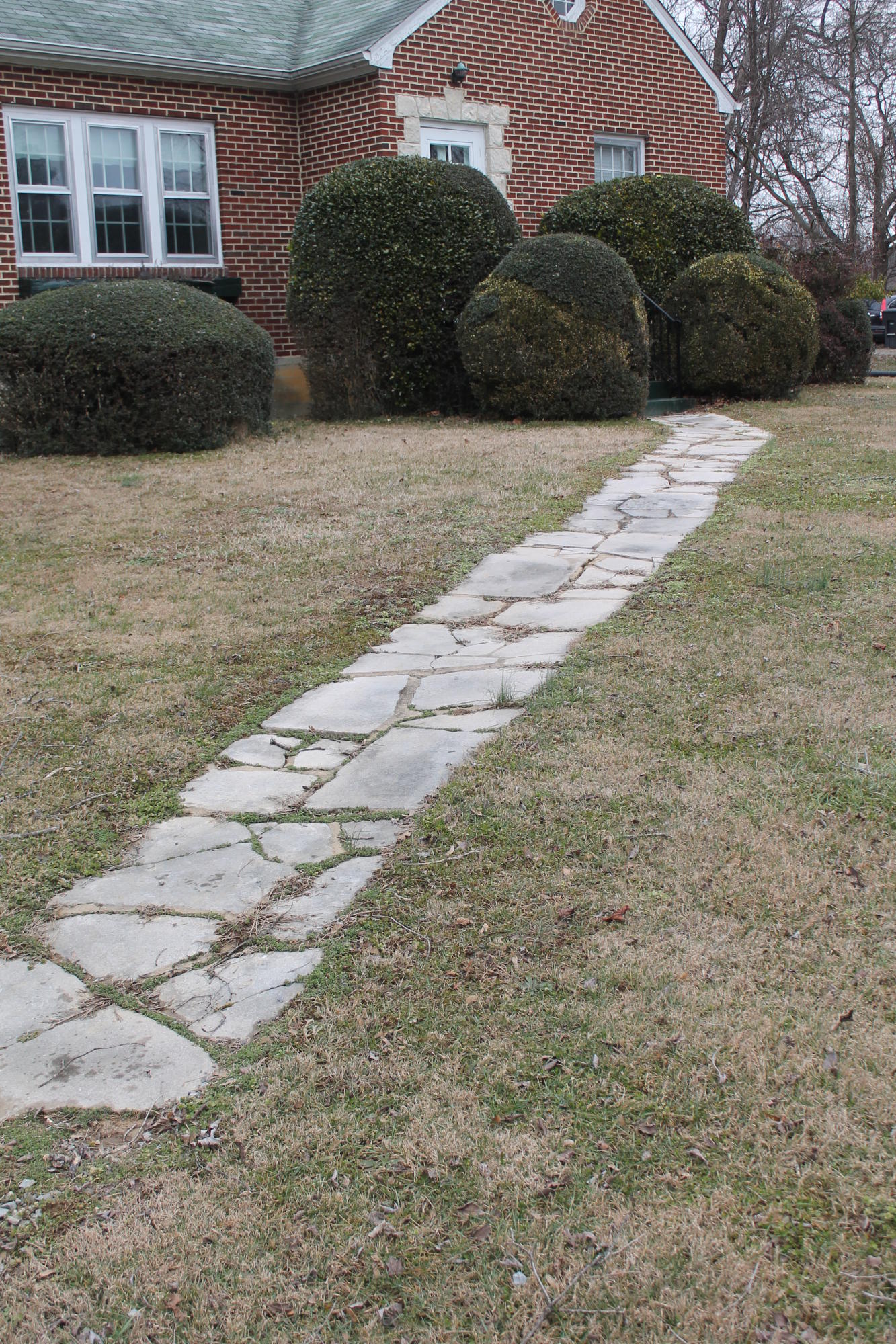 5431 Cove Road Roanoke, VA 24019 - Photo 29 of 45 Stone walk