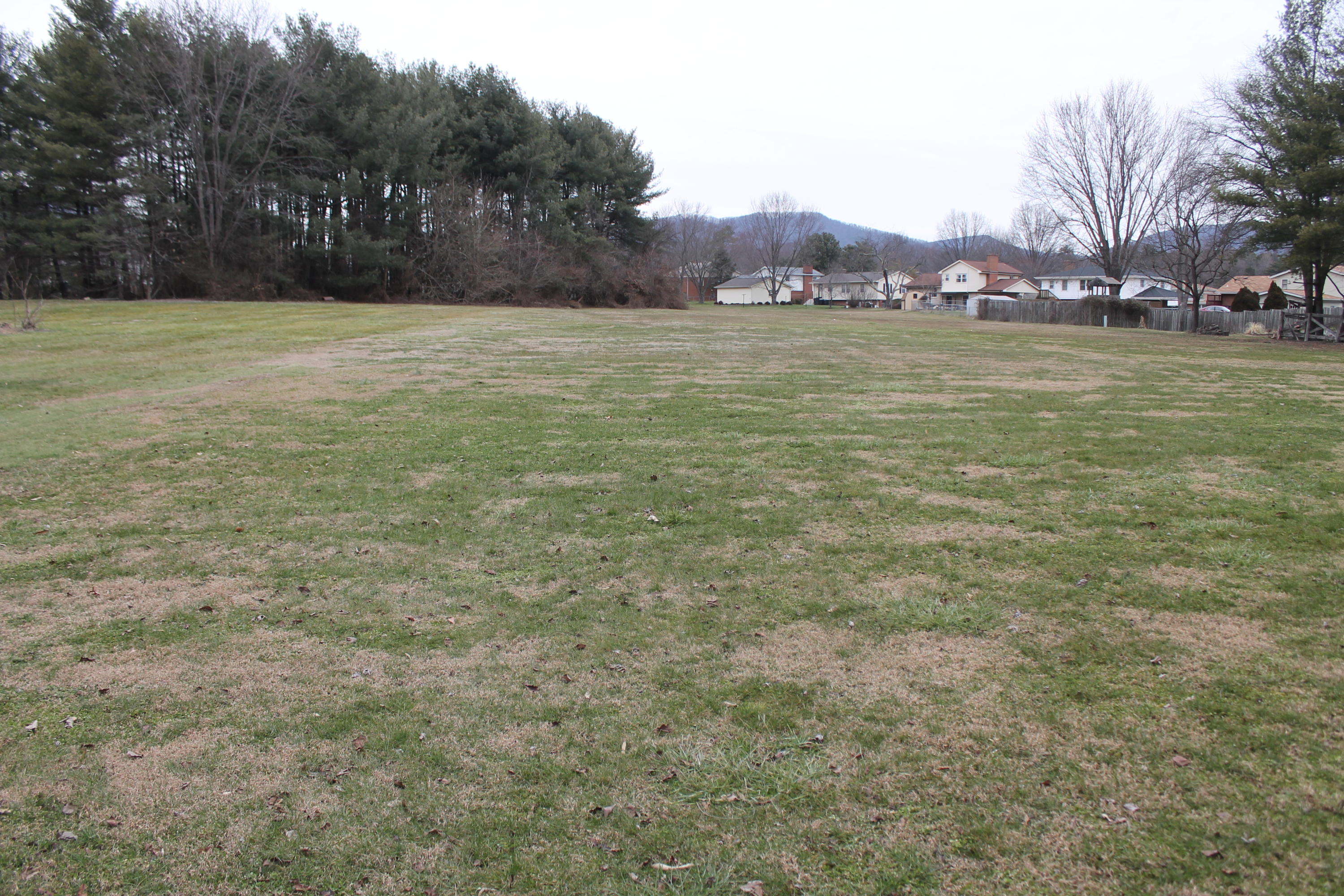 5431 Cove Road Roanoke, VA 24019 - Photo 36 of 45 Rear of lot