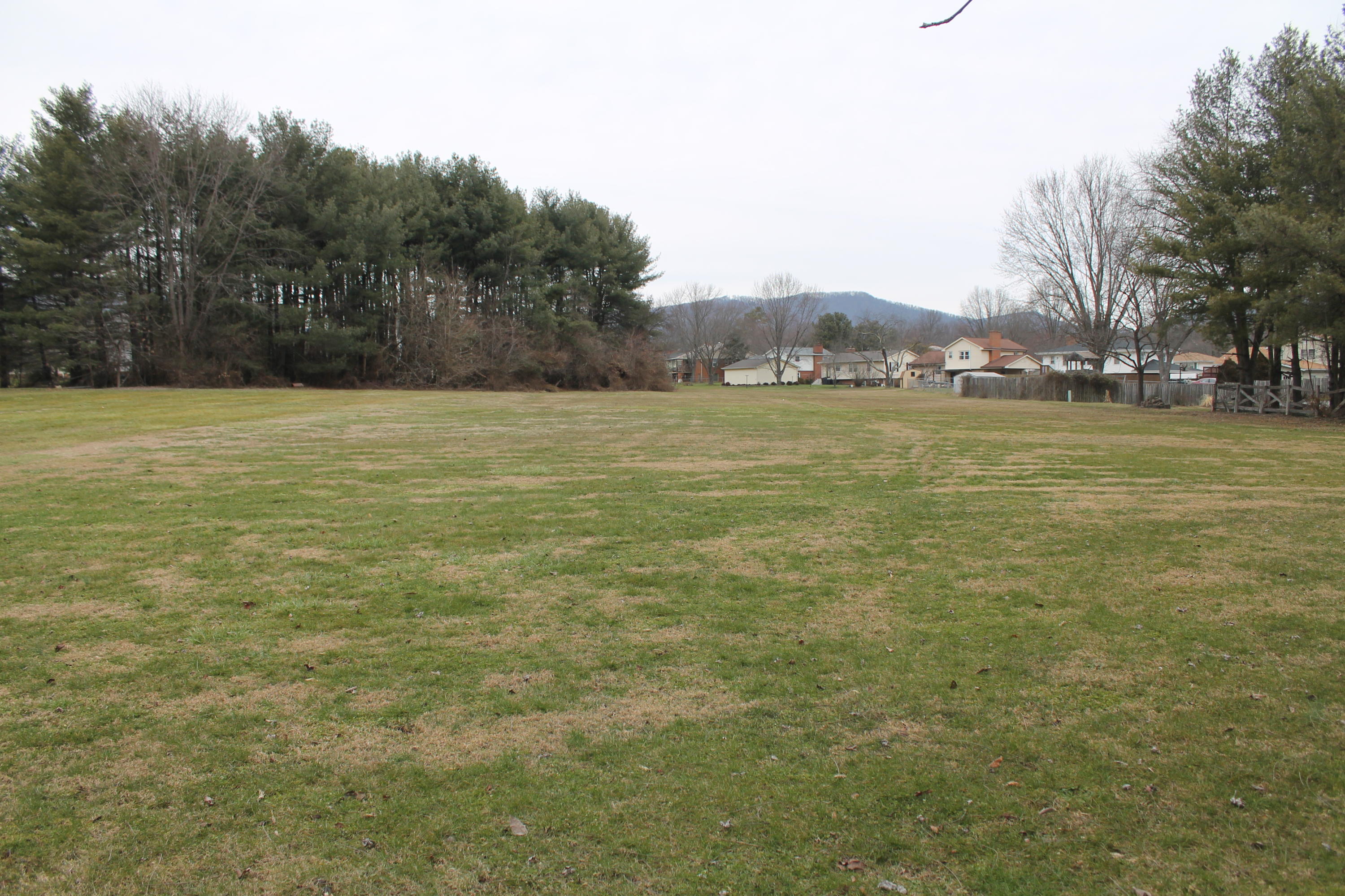5431 Cove Road Roanoke, VA 24019 - Photo 37 of 45 Rear of lot