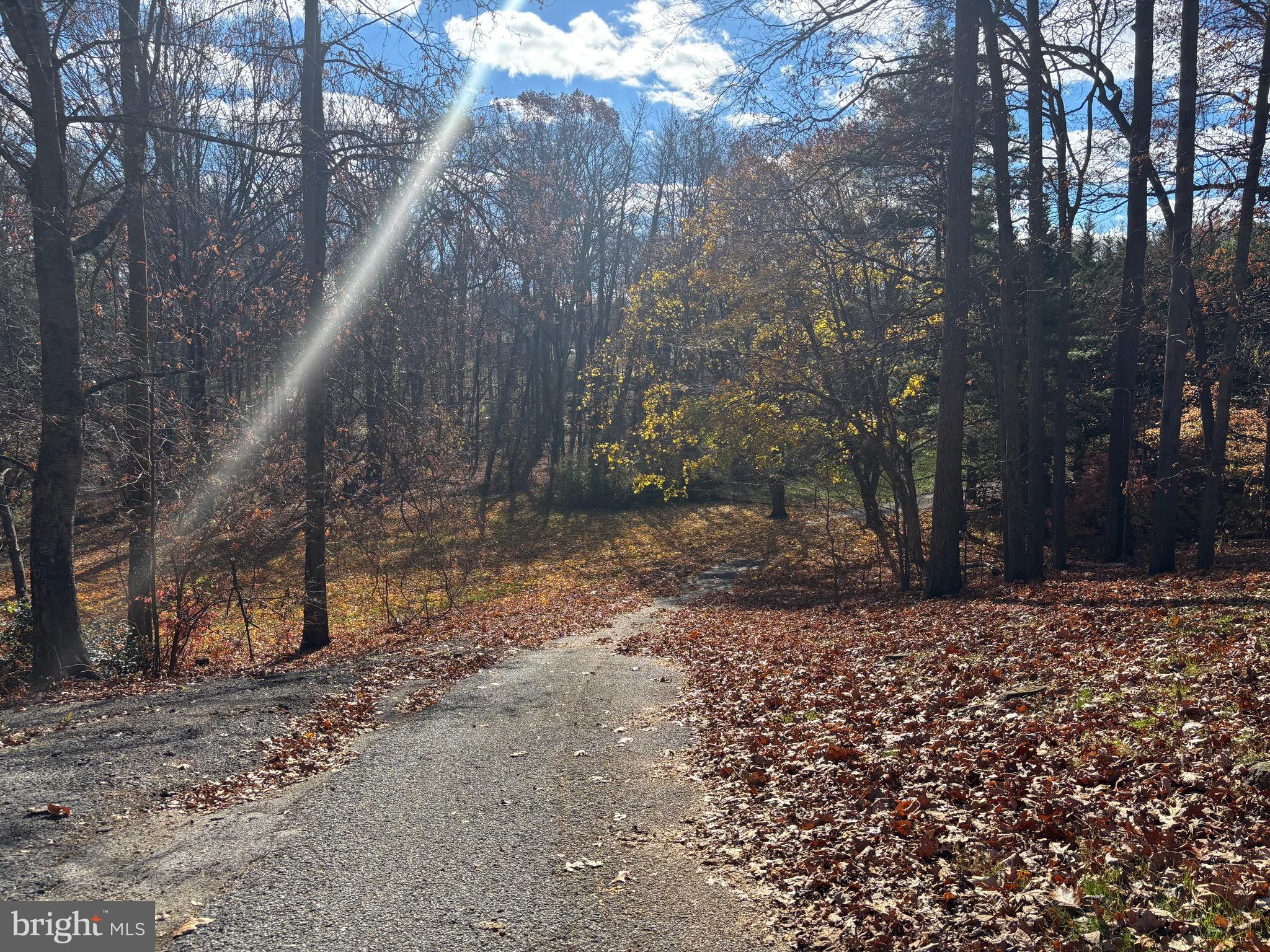 2213 Green Haven Way Hampstead, MD 21074 - Photo 15 of 15 a backyard of a house with lots of green space