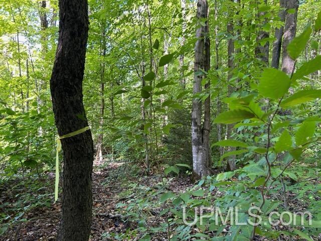 16 16 Mile Lake Road Munising, MI 49862 - Photo 2 of 8