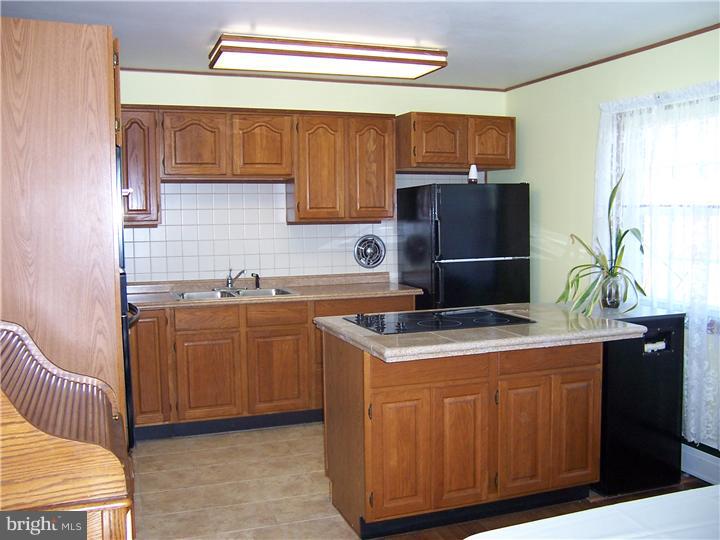 420 Washington Street Spring City, PA 19475 - Photo 7 of 18 Kitchen