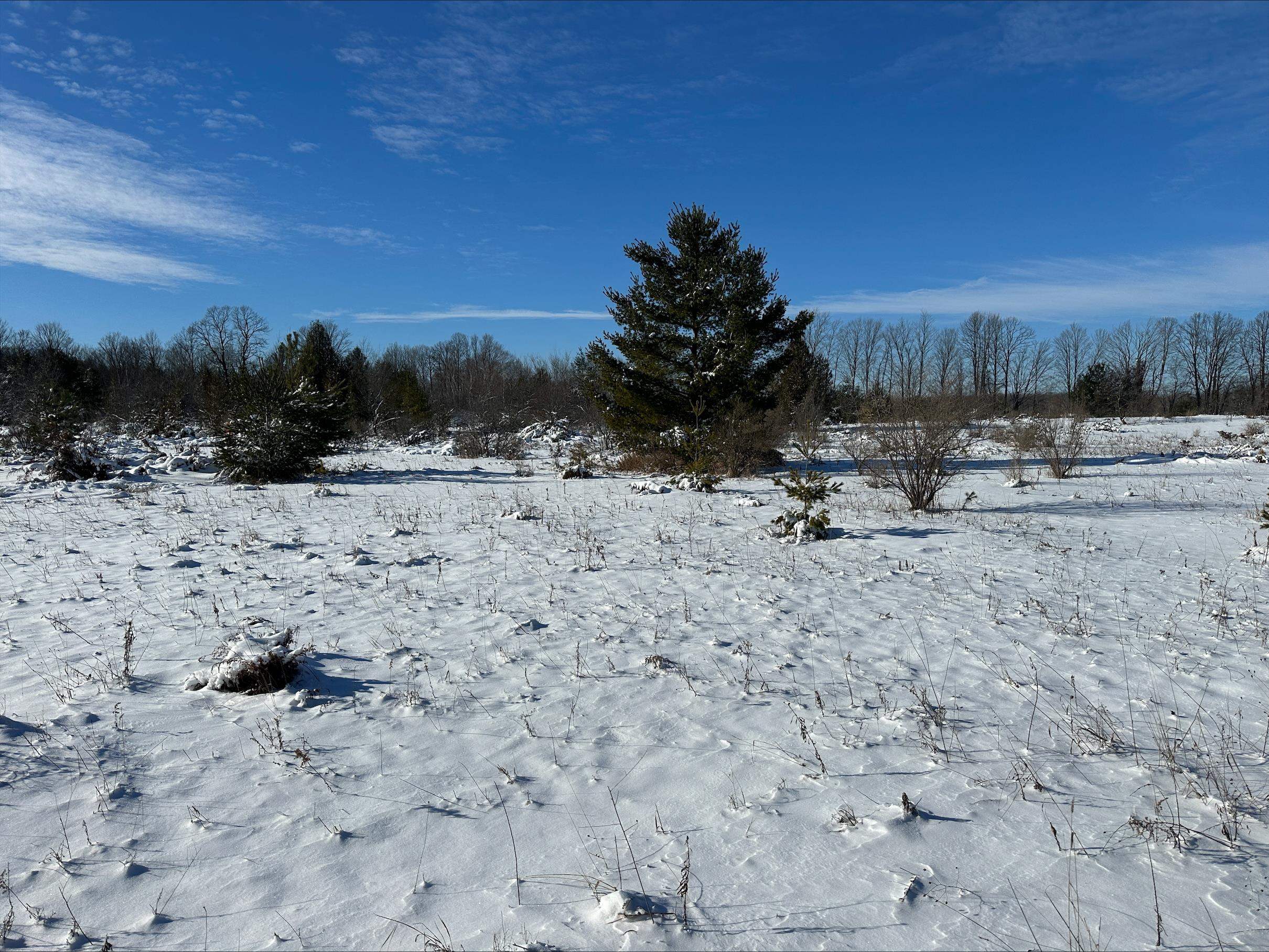 Wild Nest Road, Unit 4 Fish Creek, WI 54212 - Photo 11 of 22