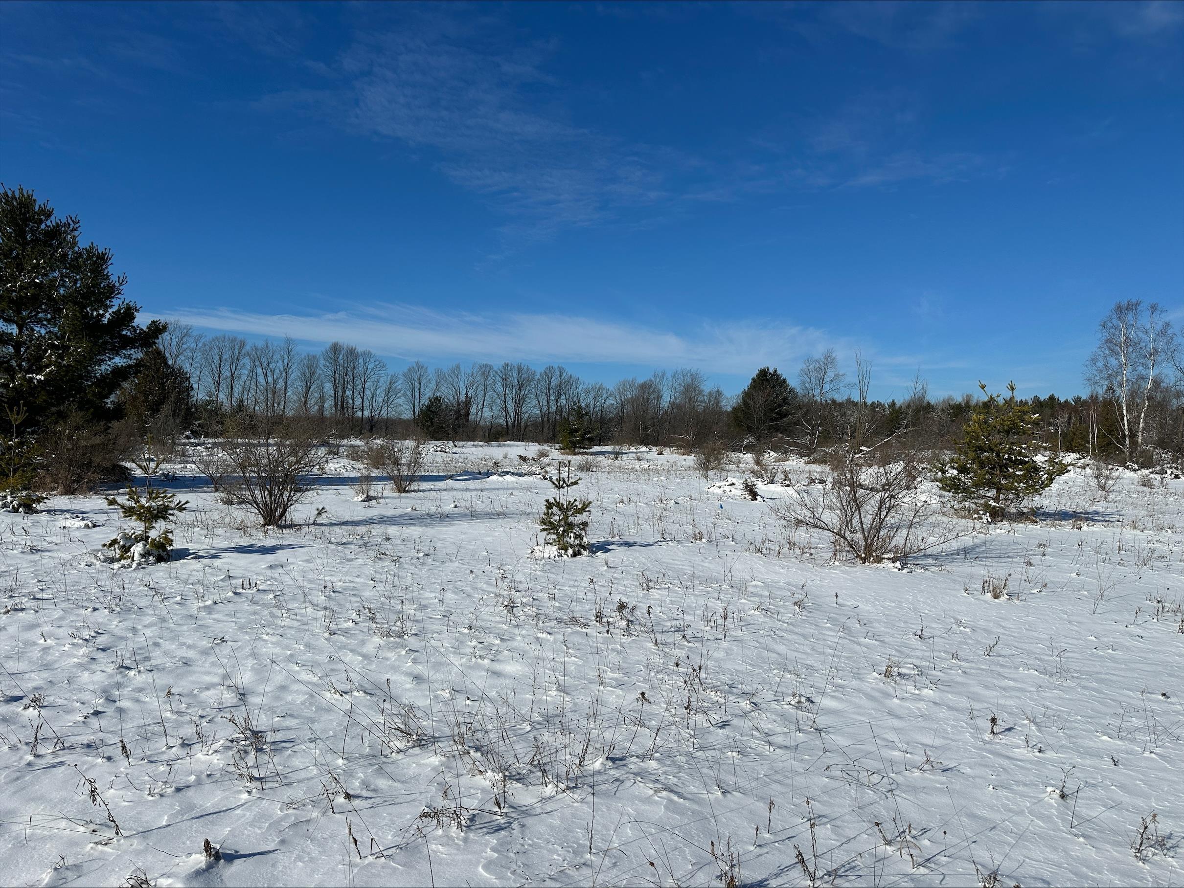 Wild Nest Road, Unit 4 Fish Creek, WI 54212 - Photo 12 of 22
