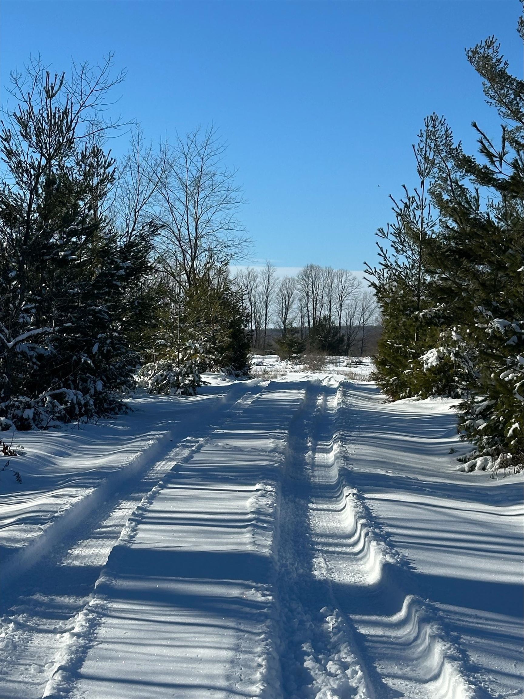 Wild Nest Road, Unit 4 Fish Creek, WI 54212 - Photo 17 of 22
