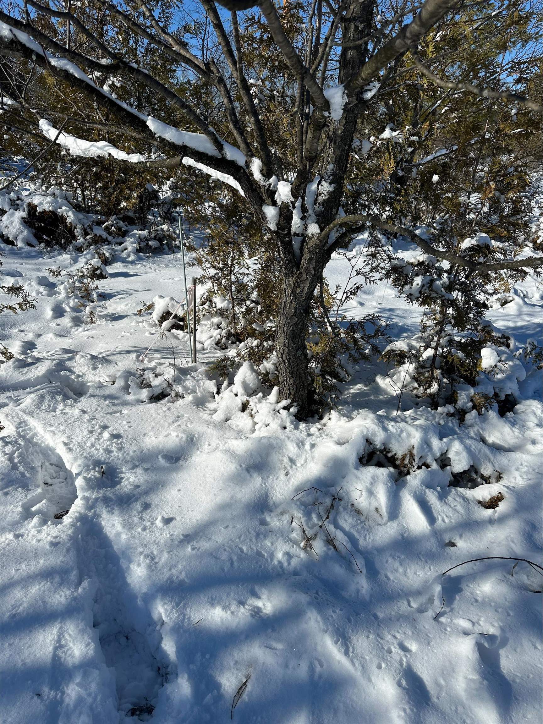 Wild Nest Road, Unit 4 Fish Creek, WI 54212 - Photo 18 of 22