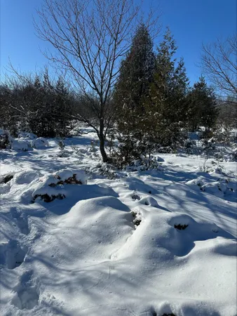 $180,000 | Wild Nest Road, Unit 4, Fish Creek, WI 54212