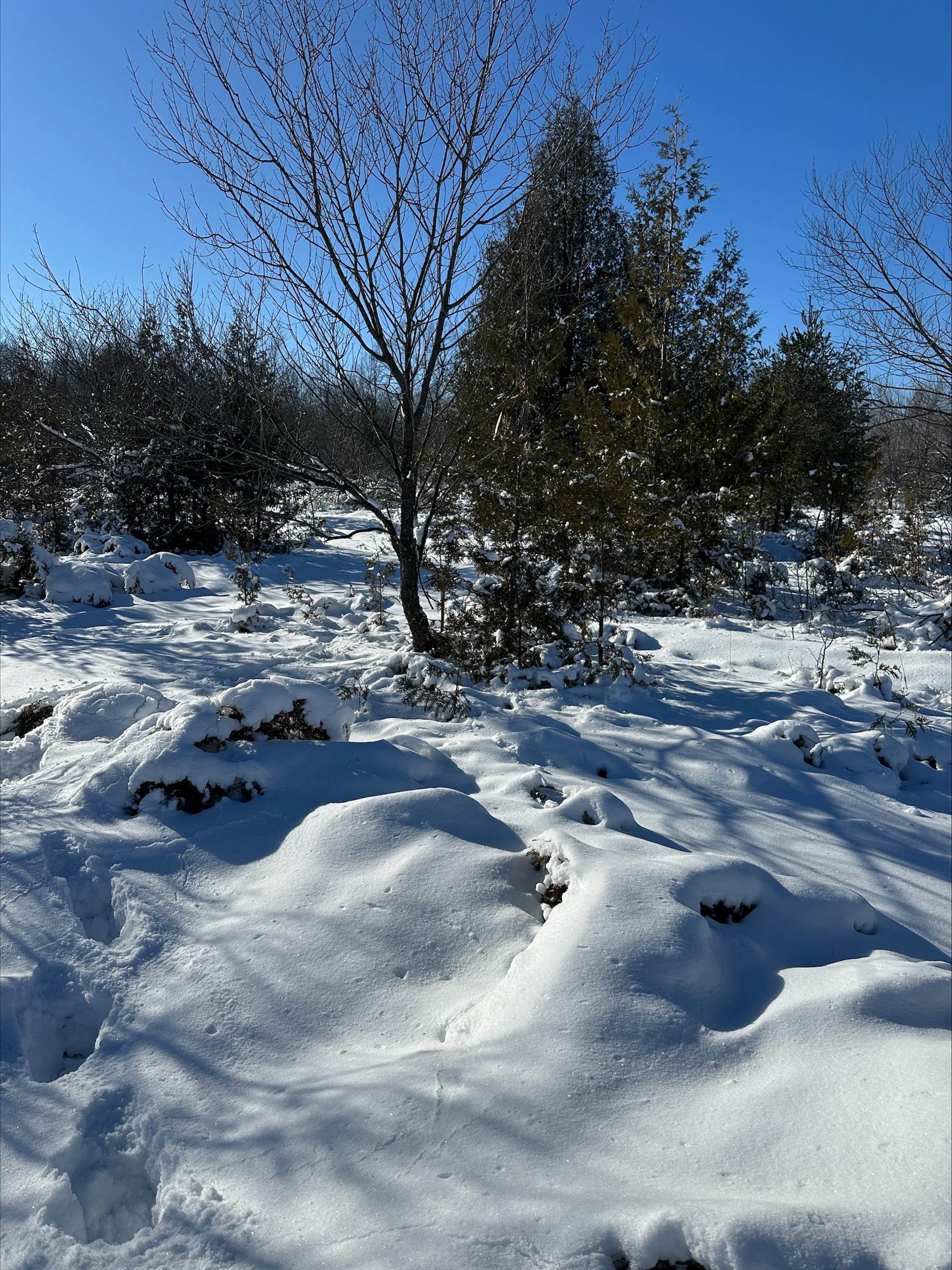 Wild Nest Road, Unit 4 Fish Creek, WI 54212 - Photo 19 of 22