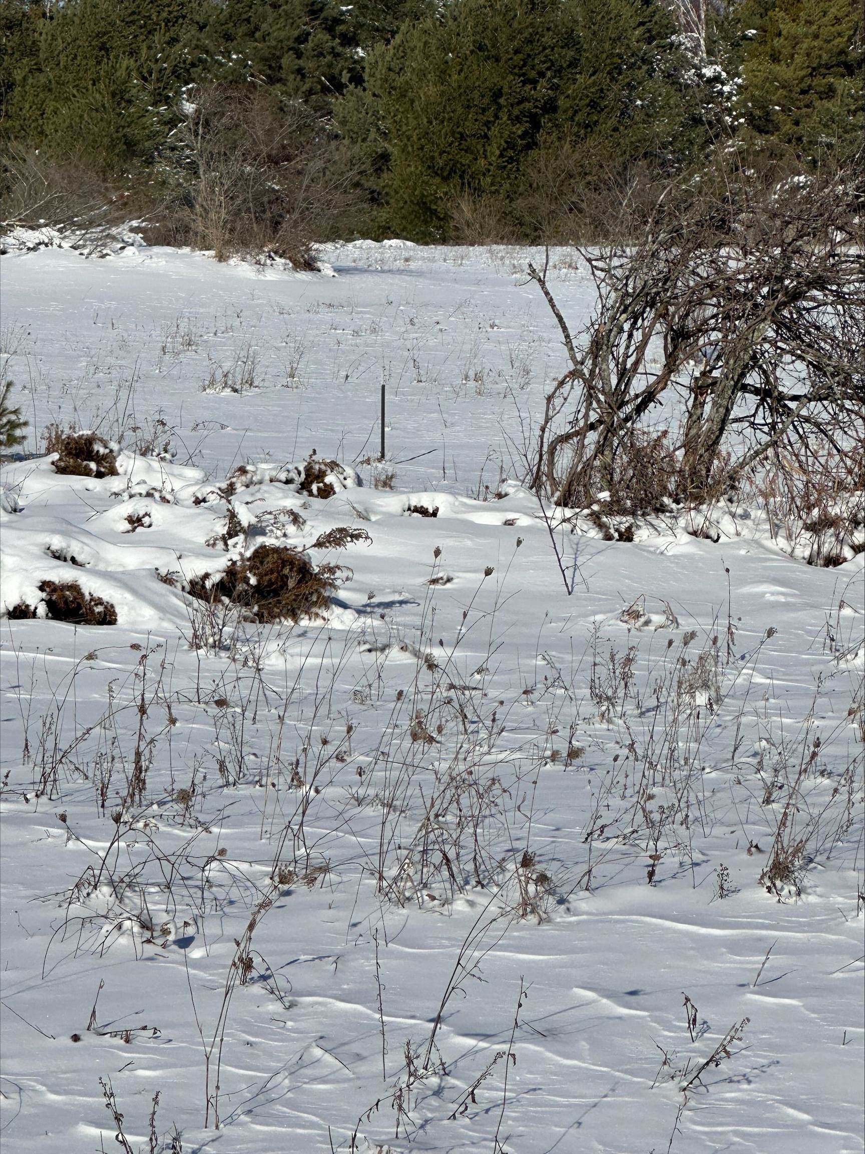 Wild Nest Road, Unit 4 Fish Creek, WI 54212 - Photo 20 of 22