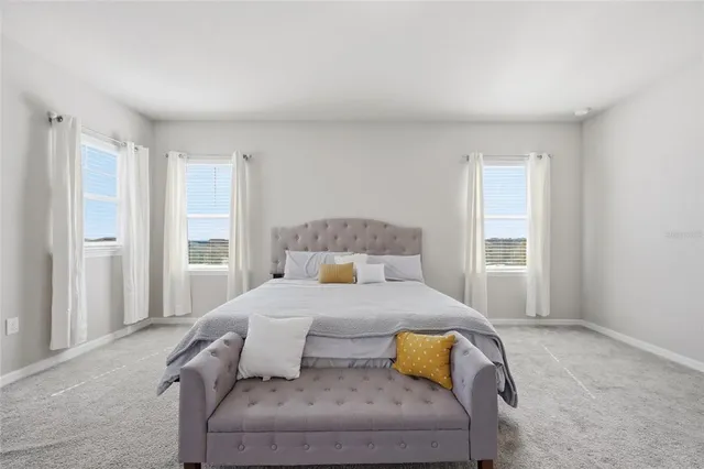 a view of a backyard with a garden and plants