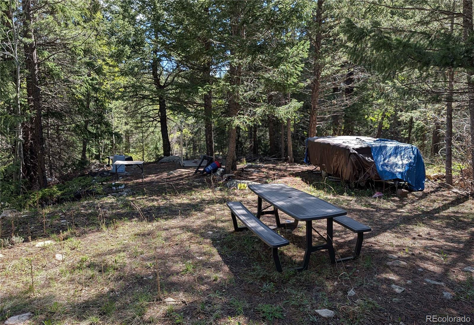 103 Cascade Creek Road Idaho Springs, CO 80452 - Photo 7 of 40 a view of a backyard with sitting area