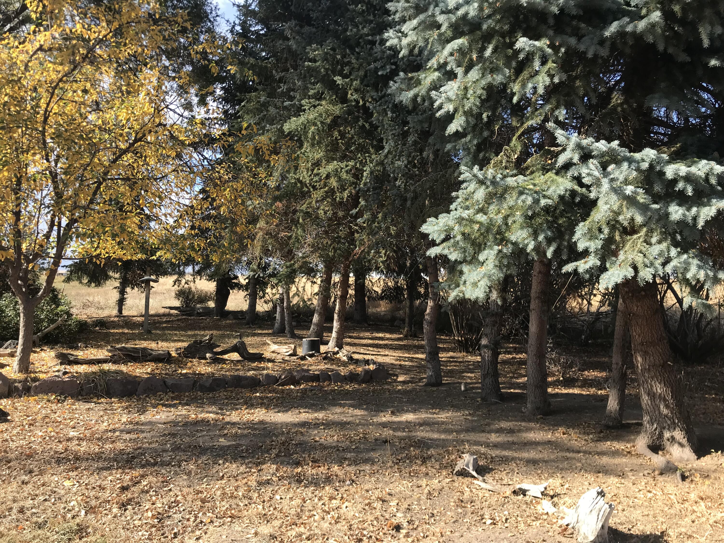 64325 Tyler Road Bend, OR 97703 - Photo 29 of 65 IMG-2477