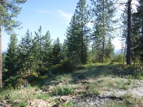 $329,000 | Lot 5 Moose Ridge Way, Loon Lake, WA 99148