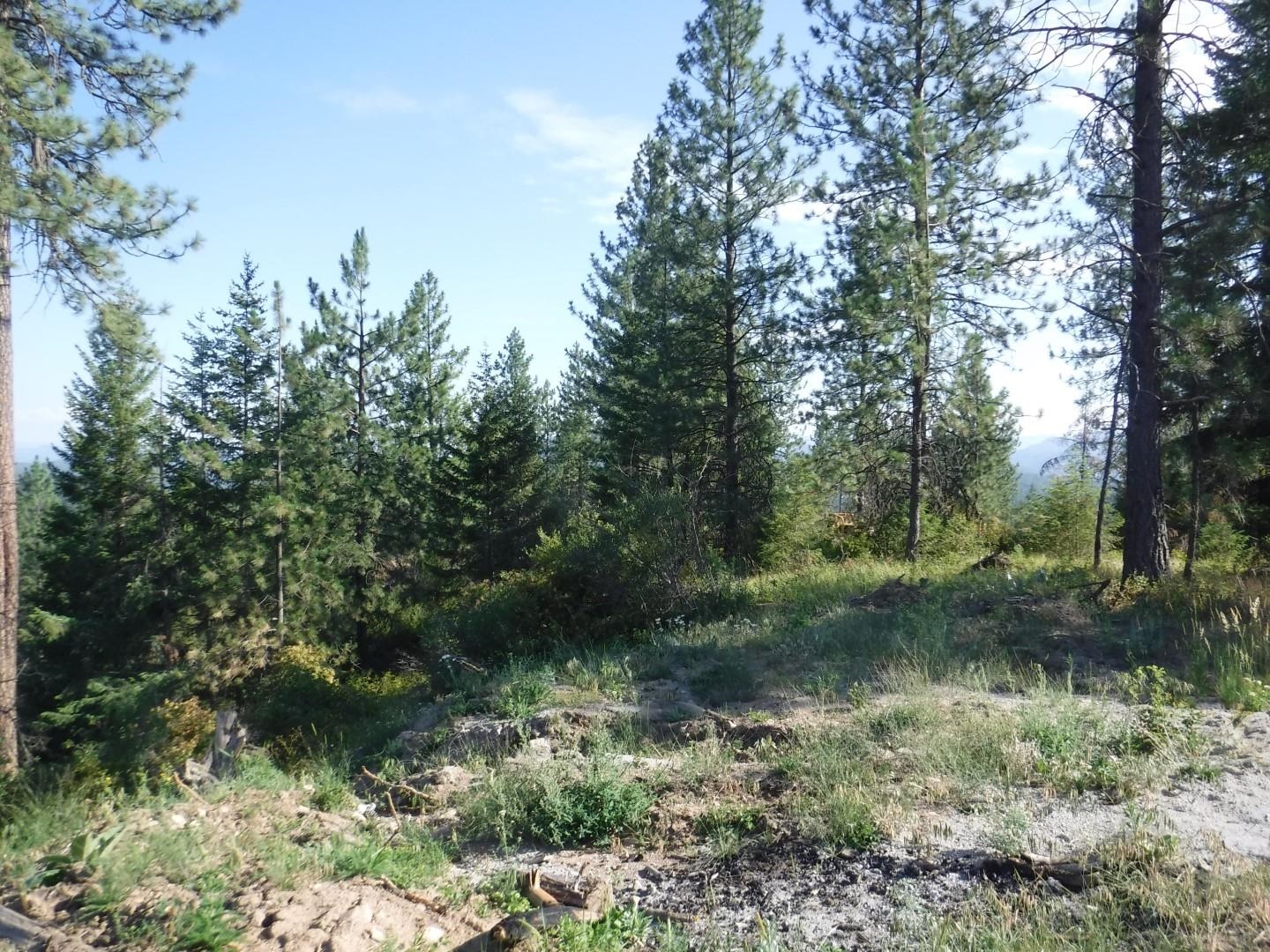 Lot 5 Moose Ridge Way Loon Lake, WA 99148 - Photo 1 of 12