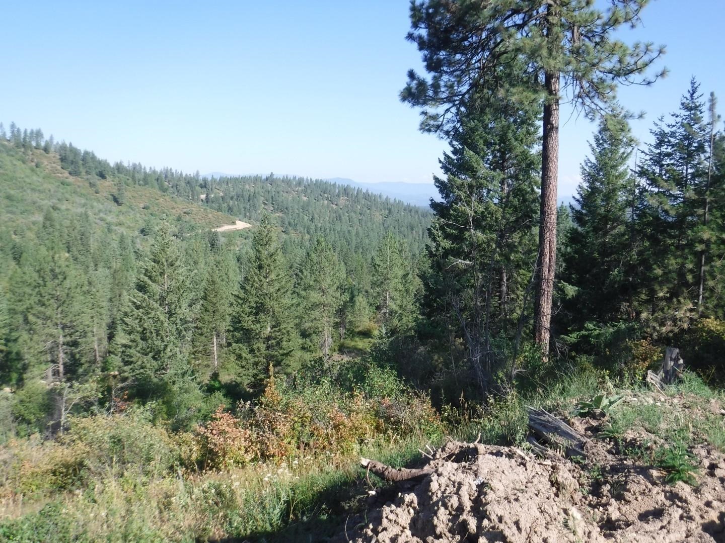 Lot 5 Moose Ridge Way Loon Lake, WA 99148 - Photo 11 of 12