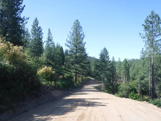 $329,000 | Lot 5 Moose Ridge Way, Loon Lake, WA 99148