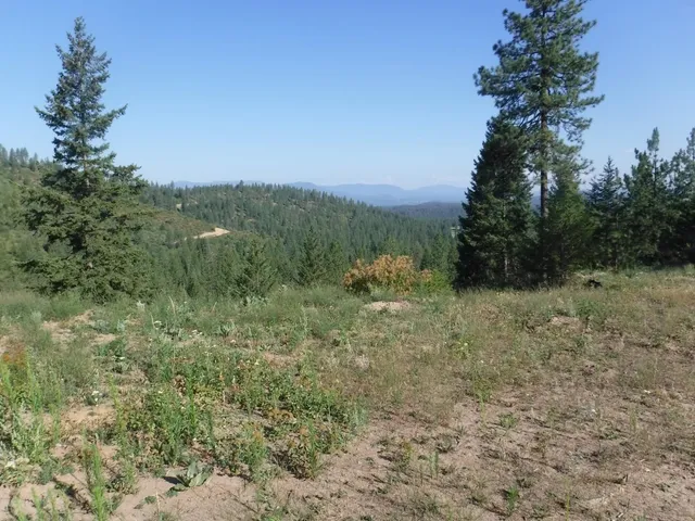 $329,000 | Lot 5 Moose Ridge Way, Loon Lake, WA 99148