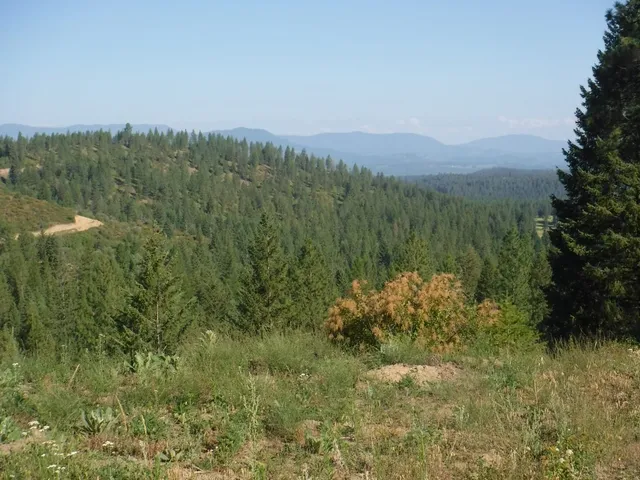 $329,000 | Lot 5 Moose Ridge Way, Loon Lake, WA 99148