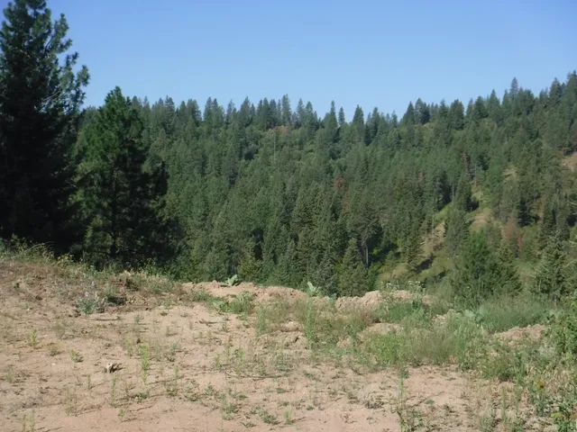 $329,000 | Lot 5 Moose Ridge Way, Loon Lake, WA 99148