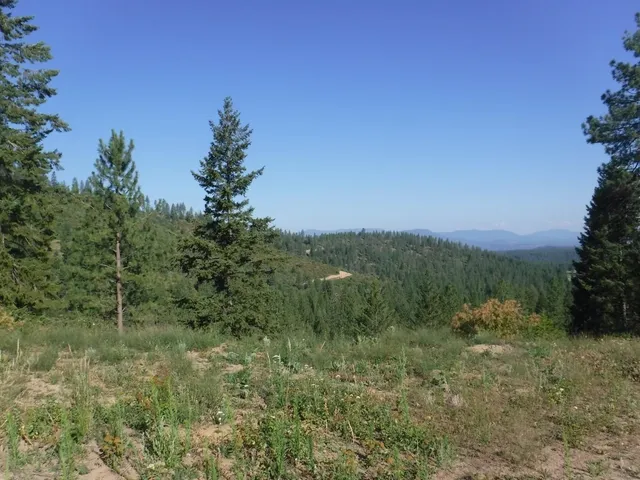 $329,000 | Lot 5 Moose Ridge Way, Loon Lake, WA 99148