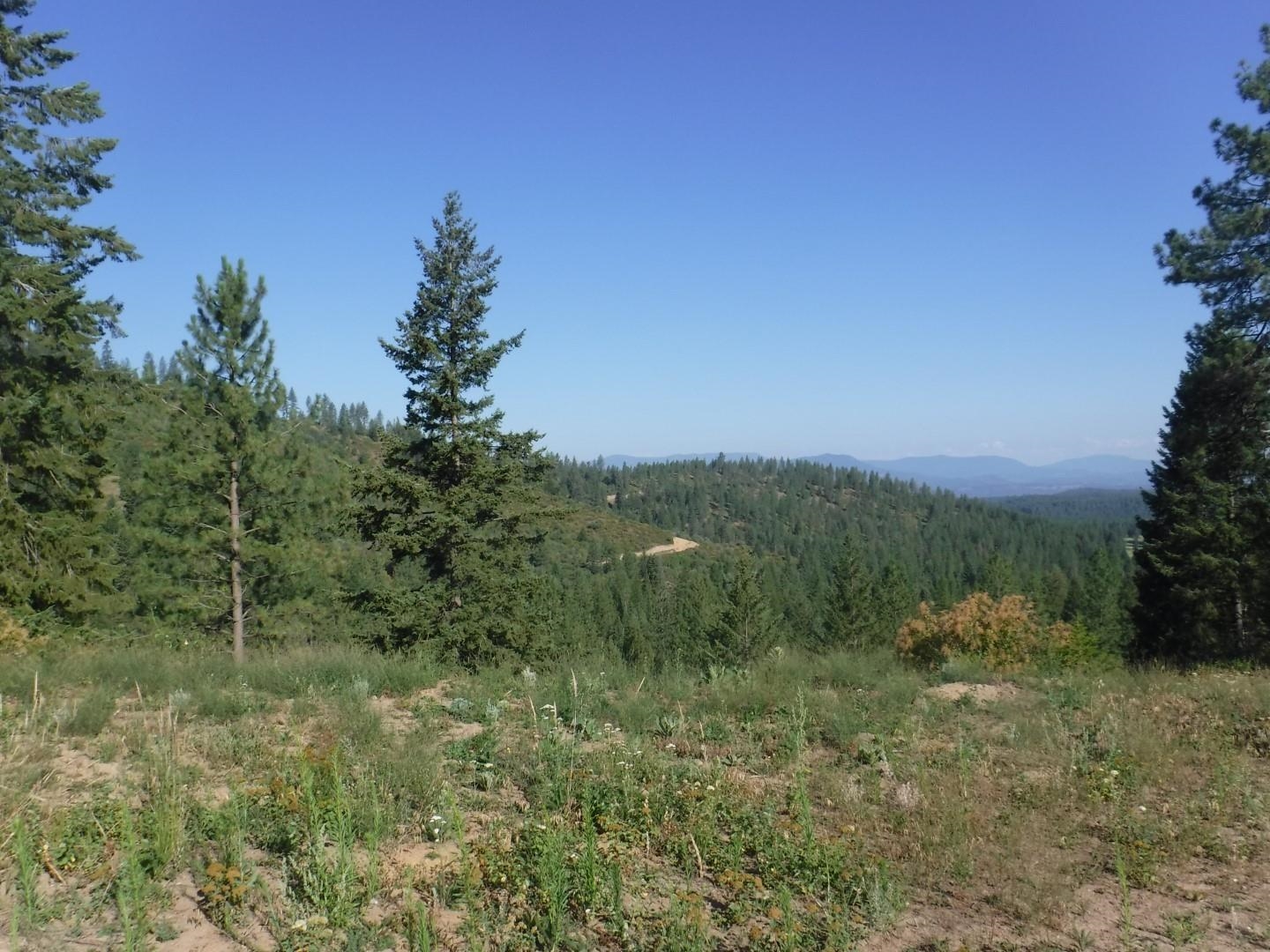 Lot 5 Moose Ridge Way Loon Lake, WA 99148 - Photo 6 of 12