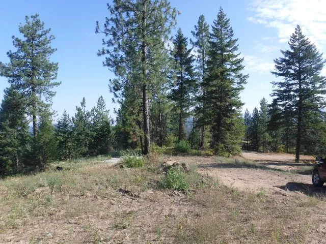 $329,000 | Lot 5 Moose Ridge Way, Loon Lake, WA 99148